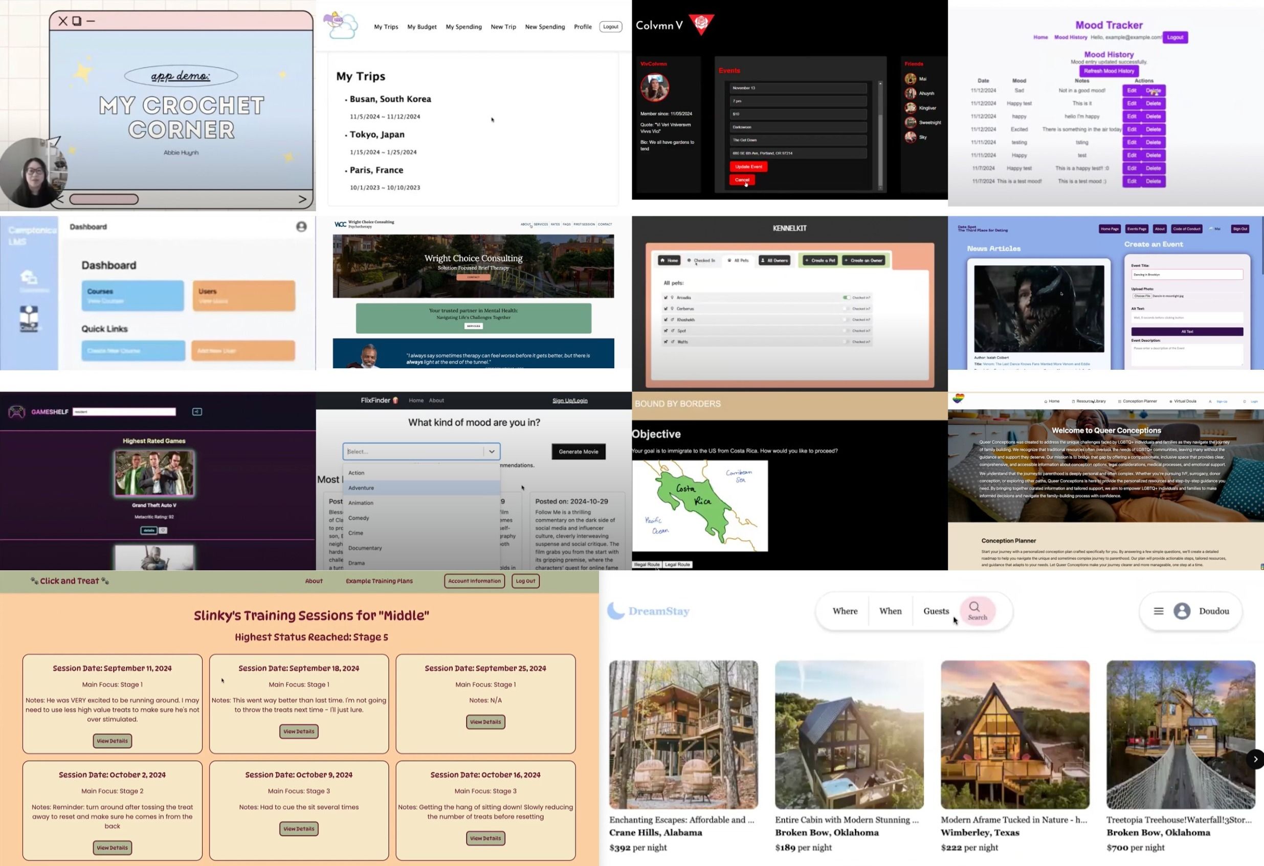 Collage of past participant final projects